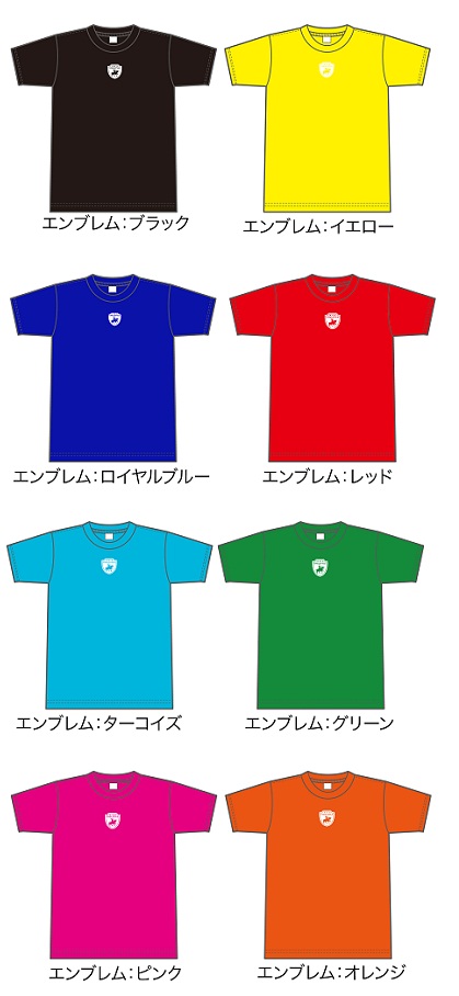 2013年春エンブレムTシャツ