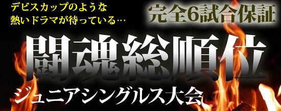 闘魂バナーデビスカップ日本vsクロアチア