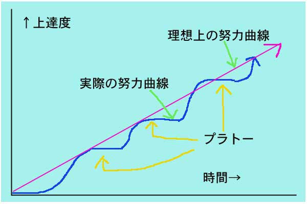 プラトーの図