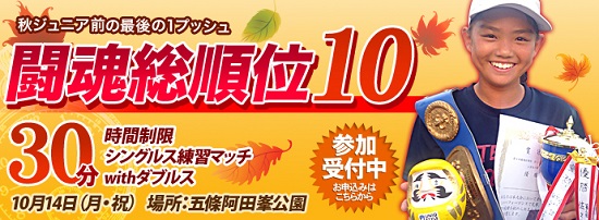 闘魂総順位１０バナーユニークスタイル